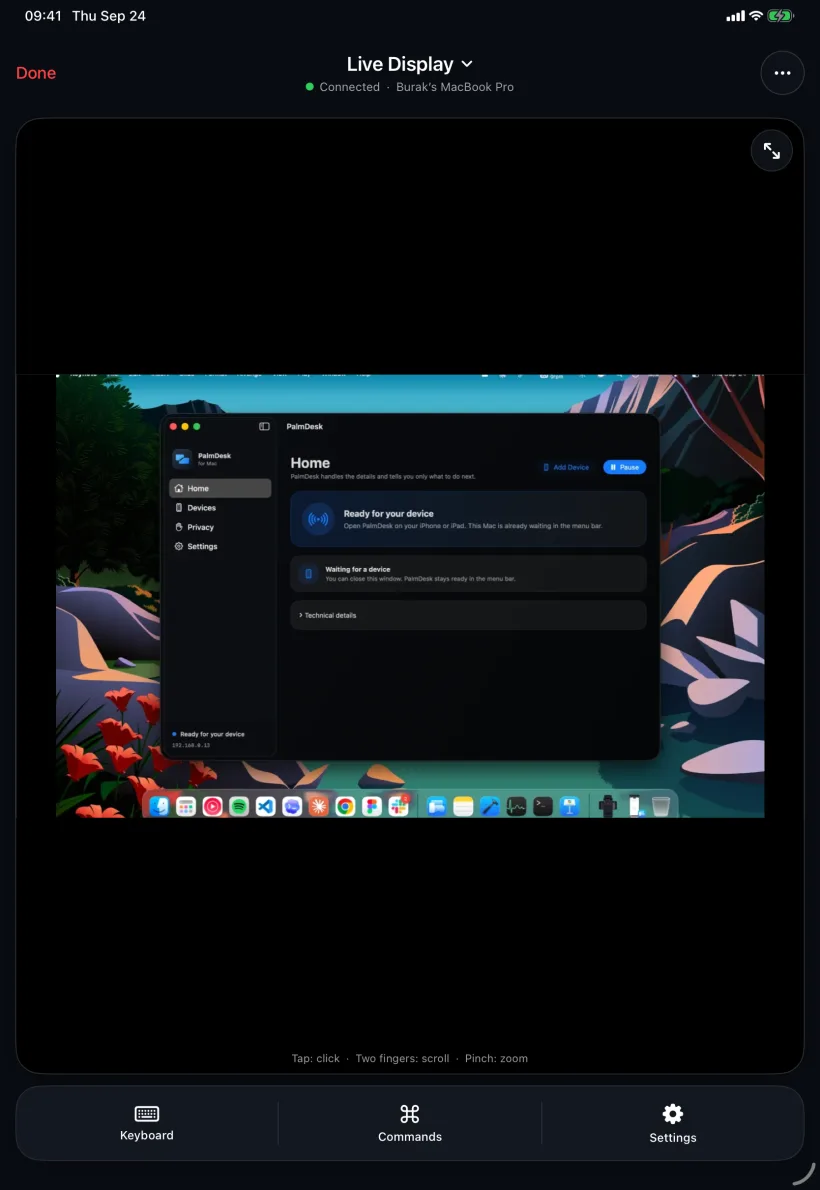 PalmDesk on iPad showing the Mac screen